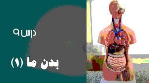 پاورپوینت بدن ما (1) علوم تجربی پایه چهارم دبستان (ppt) 21 اسلاید