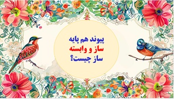 پیوند هم پایه ساز و وابسته ساز چیست؟