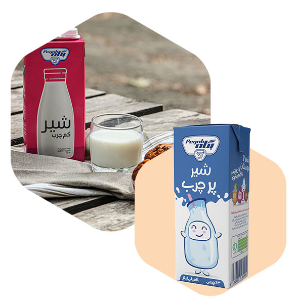 گزارش کارآموزی صنایع غذایی در کارخانه شیر پگاه (word) 94 صفحه