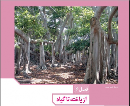 پاورپوینت زیست دهم فصل 6 (یاخته تا گیاه)